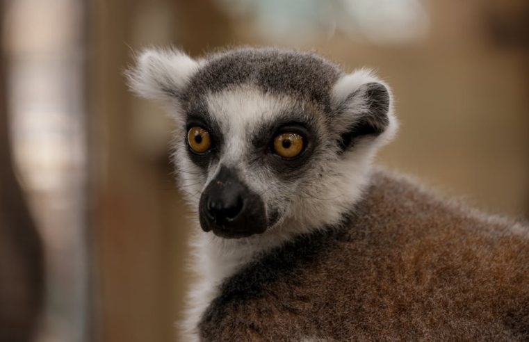 去皺療程：有效改善皺紋的實用指南
