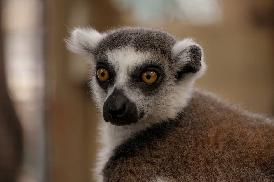 去皺療程：有效改善皺紋的實用指南