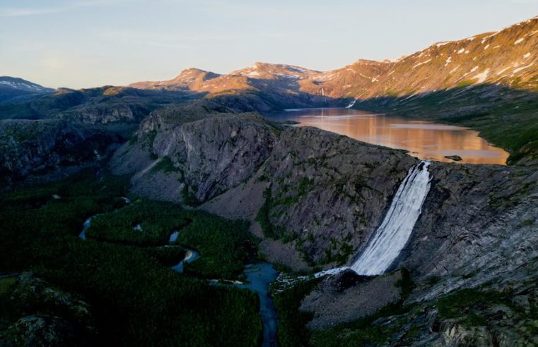 探索夢幻寵物友善酒店：給毛小孩一個溫暖的家