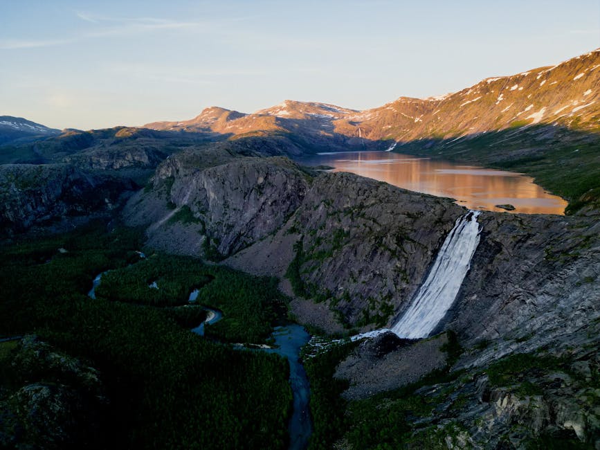 探索夢幻寵物友善酒店：給毛小孩一個溫暖的家